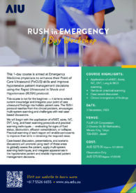 RUSH Ultrasound Workshop Japan